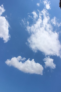 藍(lán)天