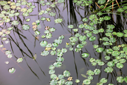 永定河畔 風(fēng)景