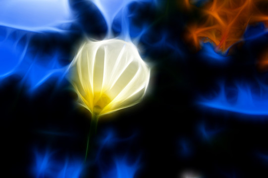 裝飾畫花
