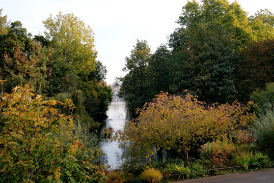 森林 河水 小河 公園 草坪