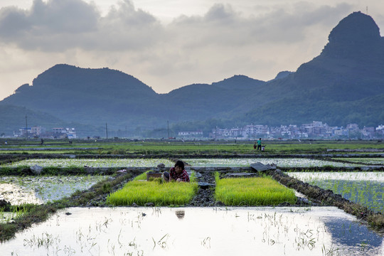 來賓市興賓區(qū)五山鄉(xiāng)三利水庫景色
