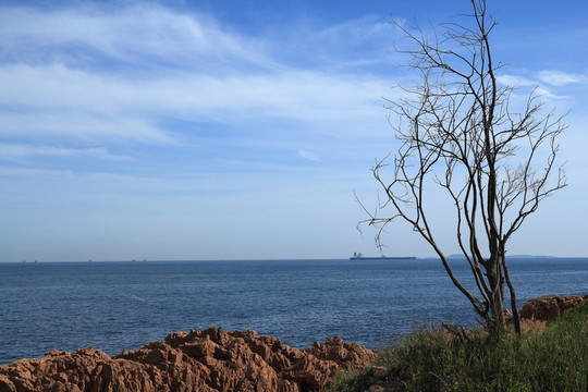 青島風(fēng)光