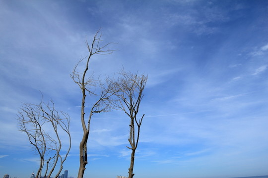 青島風光