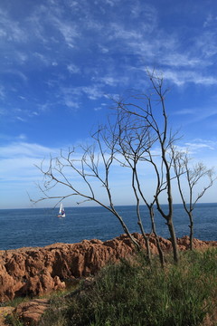 青島風光