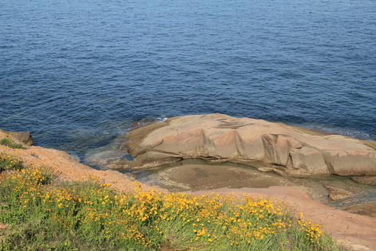 青島風(fēng)光