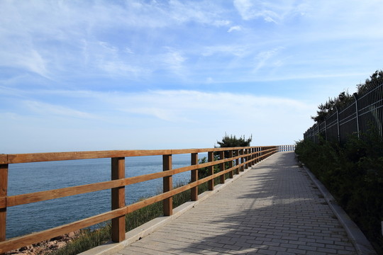 青島風光