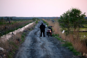 田間路 農(nóng)村 農(nóng)業(yè) 道路