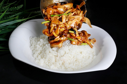 什錦蓋飯