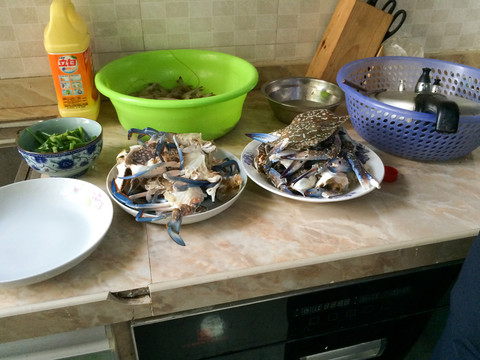 厨房 螃蟹
