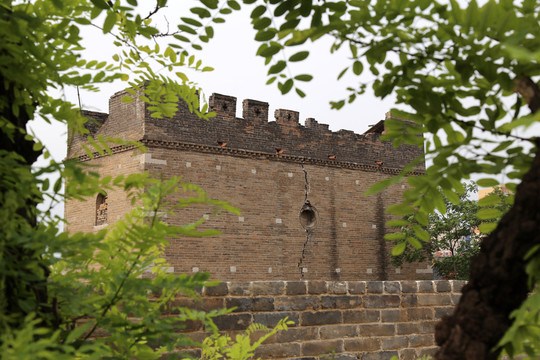 綠樹掩映古建筑
