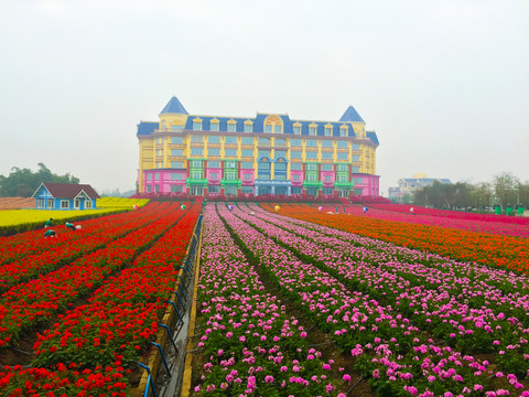 花海