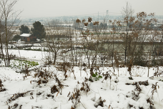 雪景