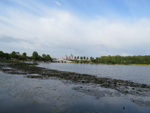 南湖公園橋