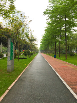 城市綠道