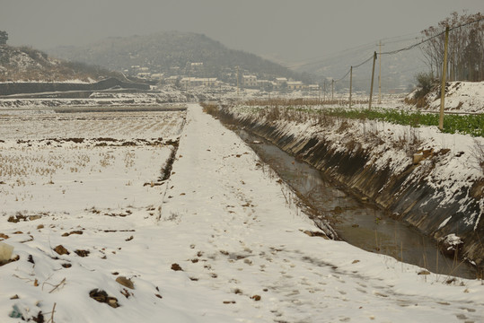 雪景