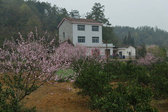 鄉(xiāng)村