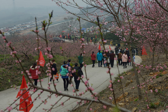 游桃園