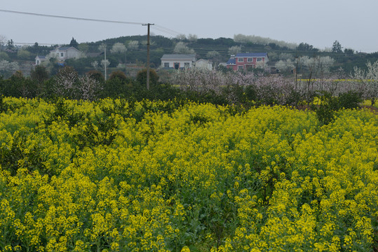 鄉(xiāng)村
