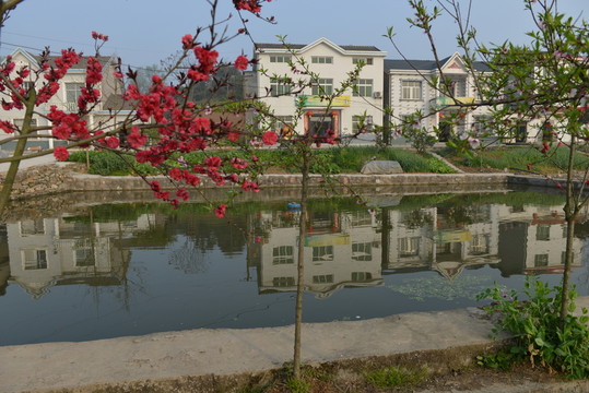 美麗鄉(xiāng)村