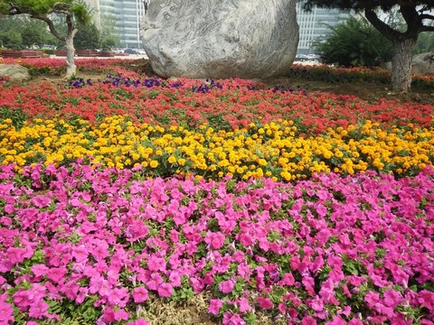 花園