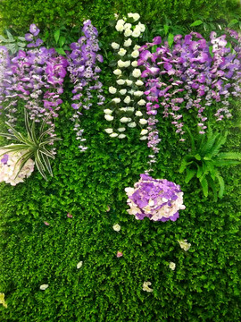 花墻 植物墻