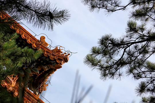 潭柘寺風(fēng)光