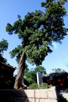 龍泉寺風(fēng)光