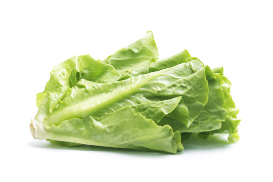 生菜
