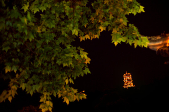 有寶塔的夜景