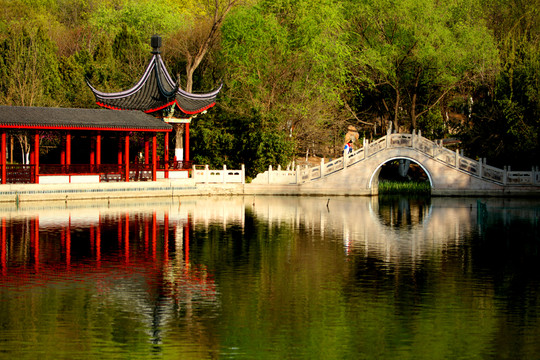 北宮森林公園