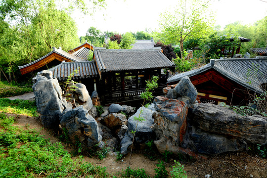 榆園風(fēng)光