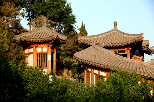 榆園風(fēng)光