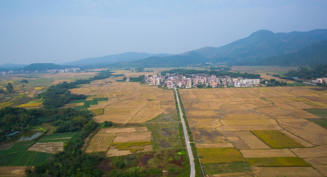 大地紋理 美麗鄉(xiāng)村