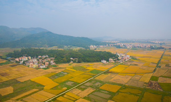 大地紋理 美麗鄉(xiāng)村