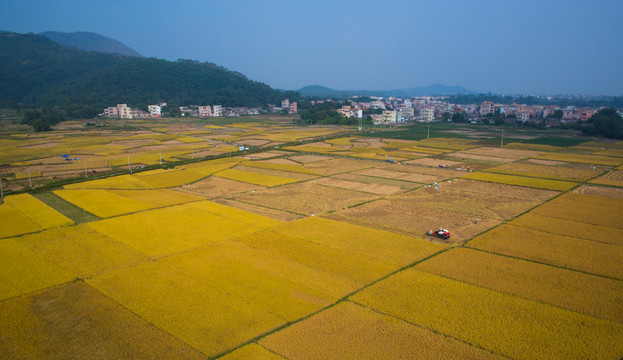 鄉(xiāng)村 大地 秋色