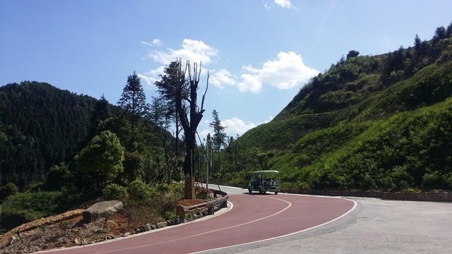 馬路