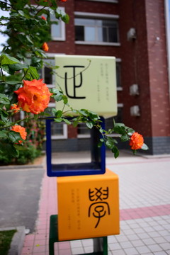 實(shí)驗(yàn)學(xué)校校園風(fēng)光