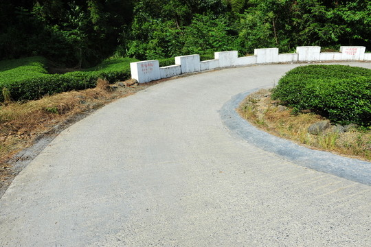 農(nóng)村道路鄉(xiāng)道攝影素材