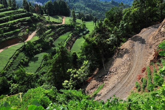 農(nóng)村道路素材