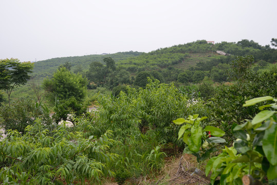藍(lán)天 白云 風(fēng)景