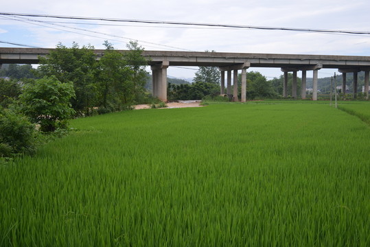 山村 風景 田園