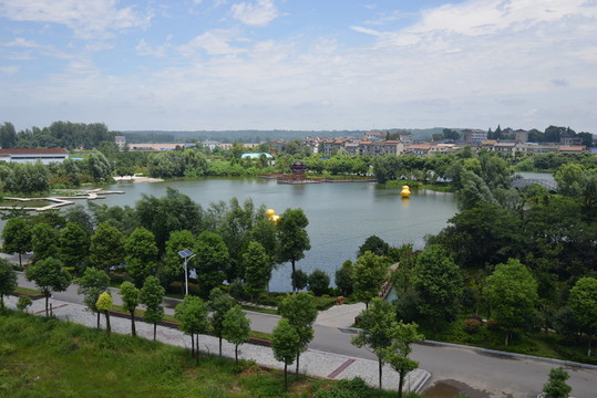 風景 公園 公路
