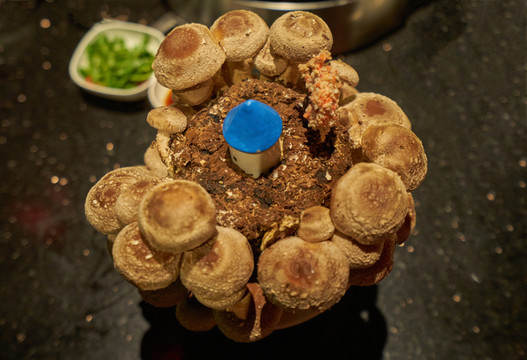 活體菌菇 火鍋配菜