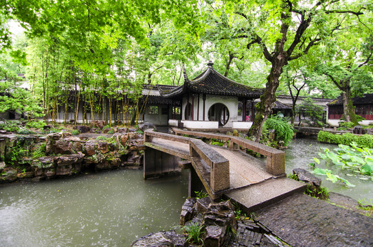 拙政園 雨景