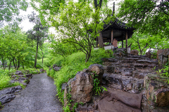 拙政園 雨景