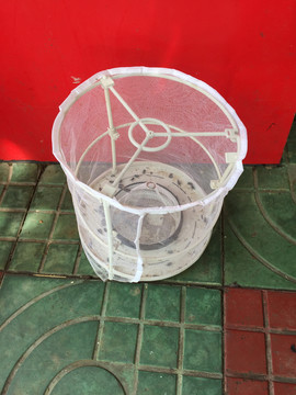蒼蠅捕捉器