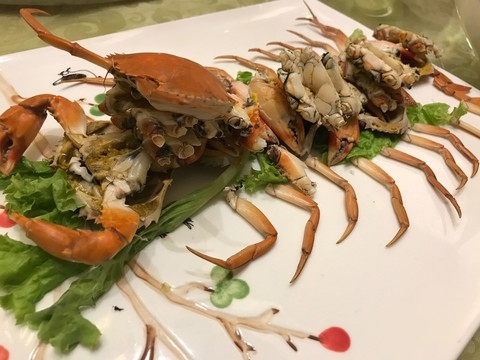 海鮮 螃蟹 美味 食品 新鮮的