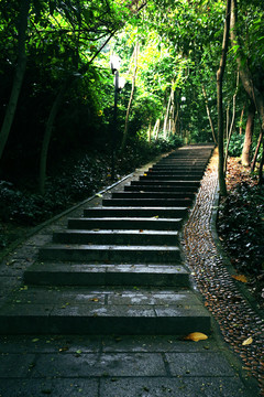 登山