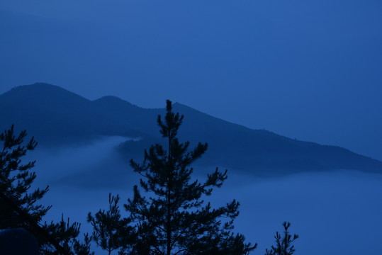 霧中風景