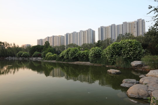 園林風光